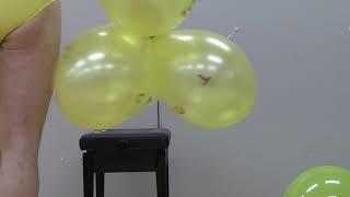 Sit popping balloons