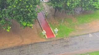 Very heavy rain on vilage  Bangladeshi vilage rainwalk  Village rain  Village life  Rainy day