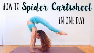 How to do a Spider Cartwheel in One Day