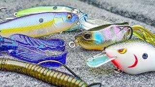 Top 5 Baits For June Bass Fishing