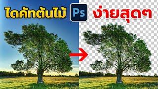 วิธีไดคัทต้นไม้ ง่ายๆ ด้วย Photoshop 2023