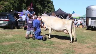 Lake Hayes A&P Show 2019