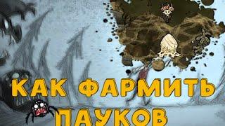 Как фармить пауков в Dont Starve