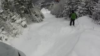 Bretton Woods Glades