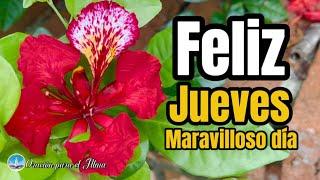 Buenos dias Feliz jueves hermoso dia para ti escucha este bello mensaje