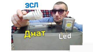 ДНаТ LED или ЭСЛ какую лампу выбрать для гроубокса  типы для выращивания