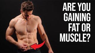 How To Know If Youre Gaining Muscle or Fat 6 Signs