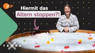 Fasten & Eisbaden Mit Biohacking das Altern stoppen?  Terra Xplore mit Biologin Jasmina Neudecker