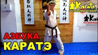 АЗБУКА КАРАТЭ КИОКУШИНКАЙ новый формат для совместной тренировки дома  Kyokushinkai karate Bible