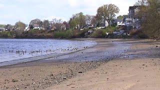 12 News Now Dune Brothers to reopen Crescent Park clam shack