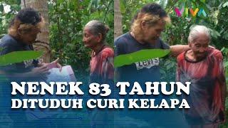 Nenek 83 tahun Dipolisikan Tetangga Sendiri Dituduh Curi 20 Buah Kelapa