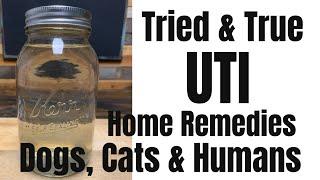 Unbelievable Home Remedies To Cure Urinary Tract Infections...In Animals AND Humans?