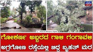 Rain Effect  ಗೋಕರ್ಣ ಅಬ್ಬರದ ಗಾಳಿ ಗಂಗಾವಳಿ ಅಗ್ರಗೋಣ ರಸ್ತೆಯಲ್ಲಿ ಬಿದ್ದ ಬೃಹತ್ ಮರ