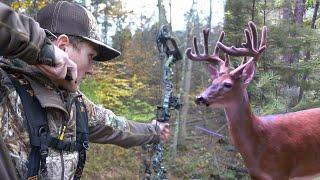 OUR BEST ARCHERY DEER HUNTING KILLSHOTS COMPILATION