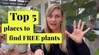 Top 5 places to get FREE plants  How to get free plants