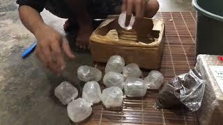 UNBOXING IKAN CUPANG