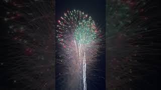 Pyrotecnico Firework Finale #fireworks