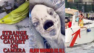 MOST STRANGEST VIDEOS ON THE INTERNET  UNEXPLAINED THINGS CAUGHT ON CAMERA YOU MUST NOT MISS