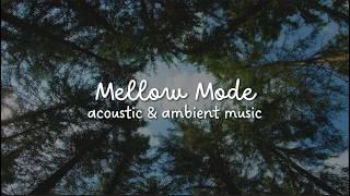 acoustic ambience  ambient nature inspired cello & guitar mix  mellow mode