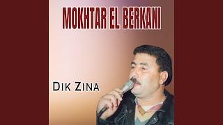 Dik zina