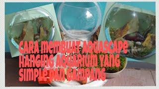 Aquascape hanging aquarium mudah dan sederhana #aquascape #hobi #ikancupang aquarium