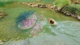 Clams spit out a large number of pearls in water creating an irresistible charm