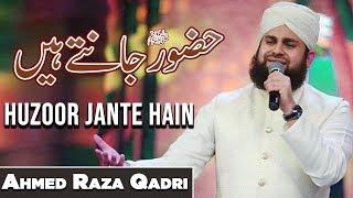 Hafiz Ahmed Raza Qadri  Huzoor Jante Hain  Naat  Ramazan 2020  Express TV