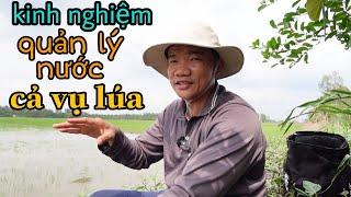 kỹ thuật kinh nghiệm quản lý nước cả vụ đạt hiệu quả cao #99 l thanhdotv