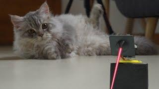 Cat Laser by circuito.io