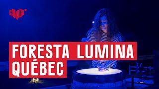 Explore enchanted forest Foresta Lumina in Québec with Mandy Harvey  Explore Canada