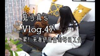 Vlog47养大型犬的日常工作！累并幸福着