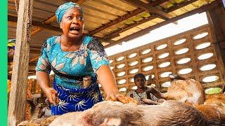 Extreme Bushmeat Nigerias WILD Animal Markets