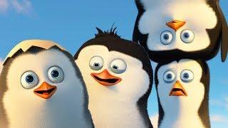 DreamWorks Madagascar  Best Penguins of Madagascar Scenes - Funny Action Moments  Kids Movies