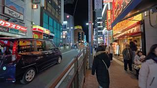 Night Yokohama walk 2024・4K HDR