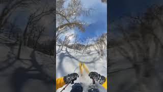 Japan tree slalom #japow #hokkaido #ski