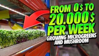 From 0$ To 20.000$ Per Week Growing Microgreens And Mushrooms
