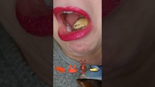 THE END  ASMR Rating Seafood Emoji Food Challenge #seafood #asmreating #asmrsounds