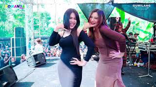 ROMANSA NYESS - DJ LULU - HAPPY PARTY PEMUDA KAWAK - KAWAK PAKISAJI JEPARA