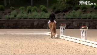 Top Pony Test from Dressage Festival of Champions Day 2