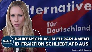 EUROPAWAHL Paukenschlag in Brüssel Rechte ID-Fraktion schließt AfD komplett aus EU-Parlament aus