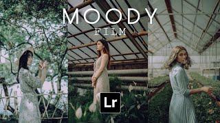 MOODY FILM preset lightroom  Moody preset  Free lightroom presets #66