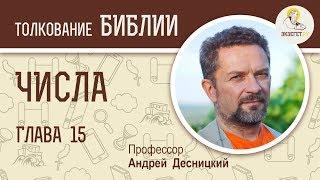 Числа. Глава 15. Андрей Десницкий. Библия