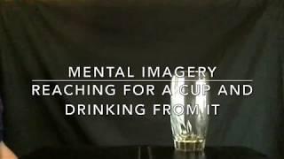 Mental Imagery