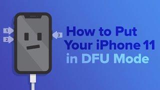 How To Put An iPhone 11 iPhone 11 Pro Or iPhone 11 Pro Max In DFU Mode