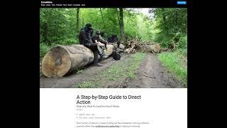 A Step by Step Guide to Direct Action  - CrimethInc.
