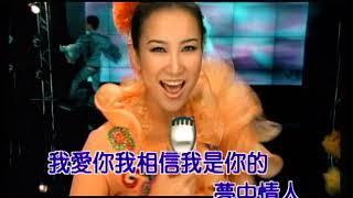 李玟 真情人 Official Video Karaoke