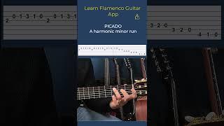 PICADO SCALE- Learn Flamenco Guitar App