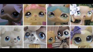 Littlest Pet Shop Coldhearted Season 1 Episode 9 Aftermath