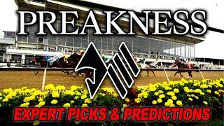 Preakness 2024 Expert Picks and Predictions from Kentucky Derby Trifecta Winner Kaitlin Free 