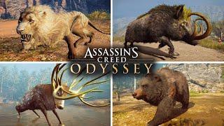 Assassins Creed Odyssey - Killing All 8 Legendary Animals Daughters of Artemis Questline